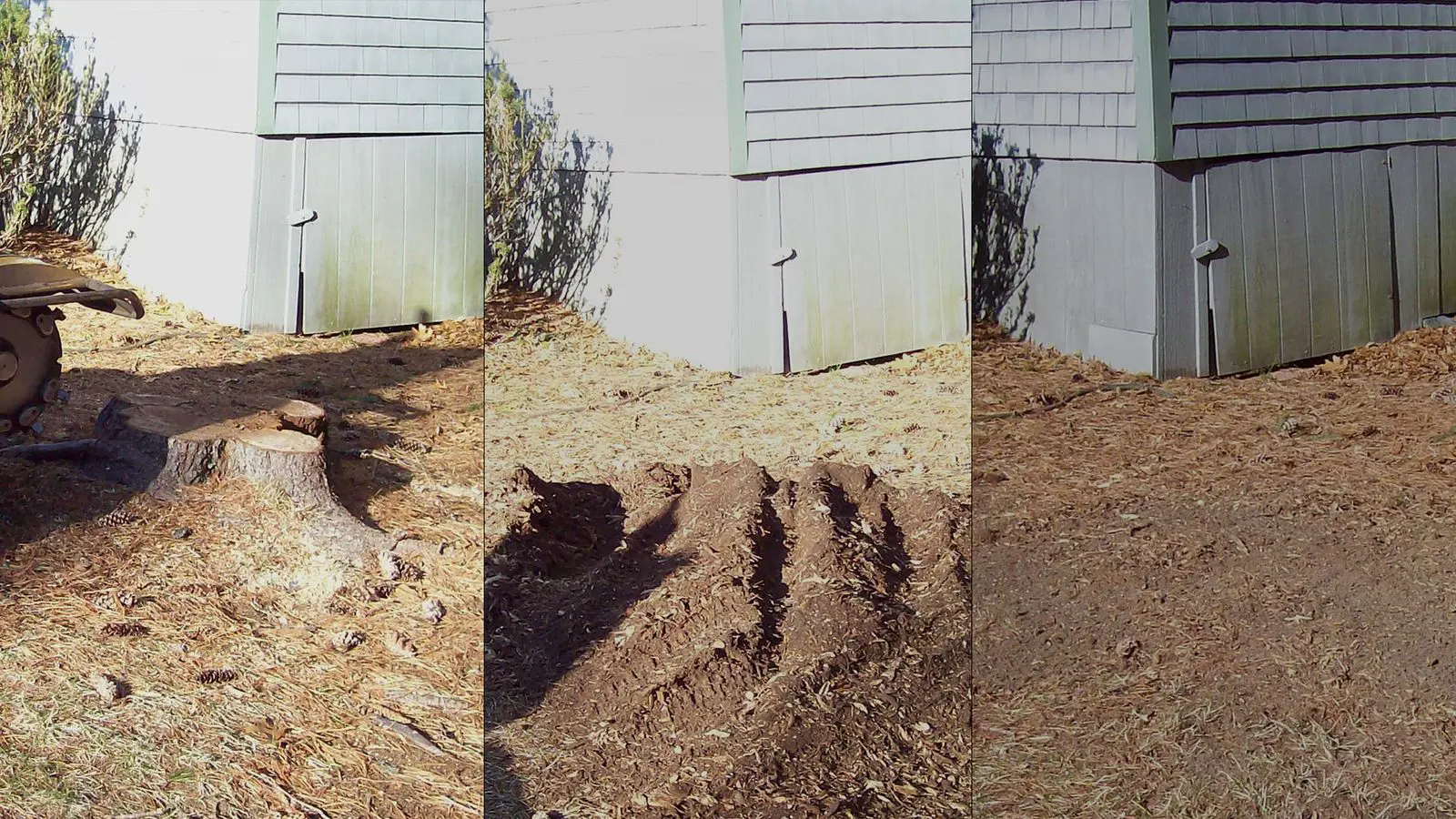 Stump-Grinding-Before-During-After
